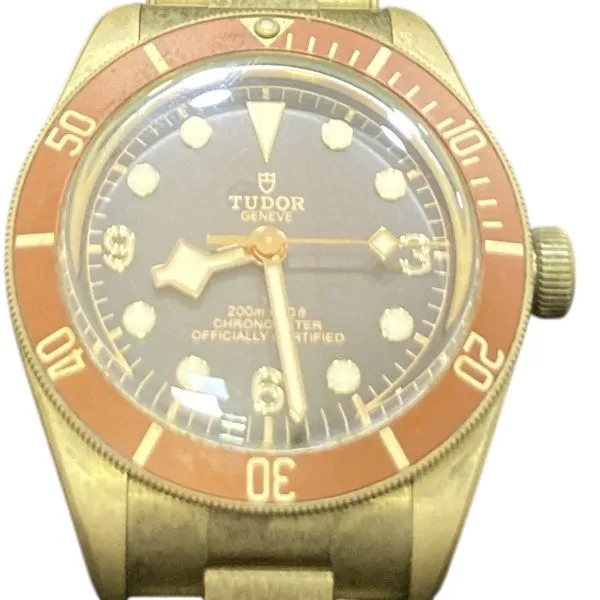 Tudor Black Bay