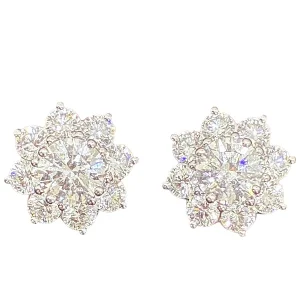 Harry Winston Diamond Earring