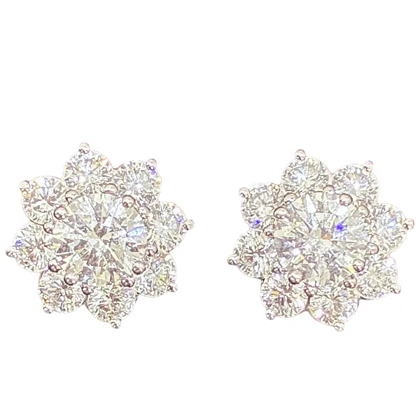 Harry Winston Diamond Earring