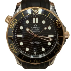 OMEGA Seamaster 21022422001002